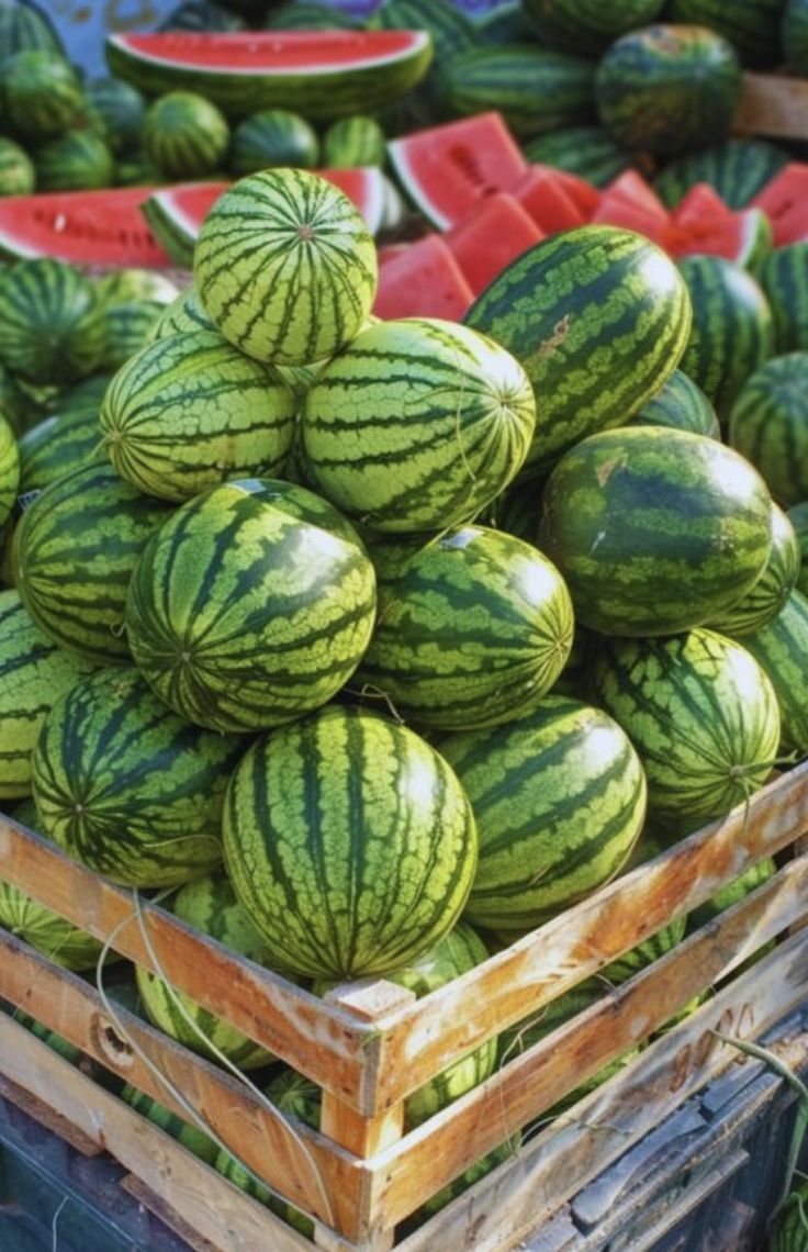 Fresh Watermelon